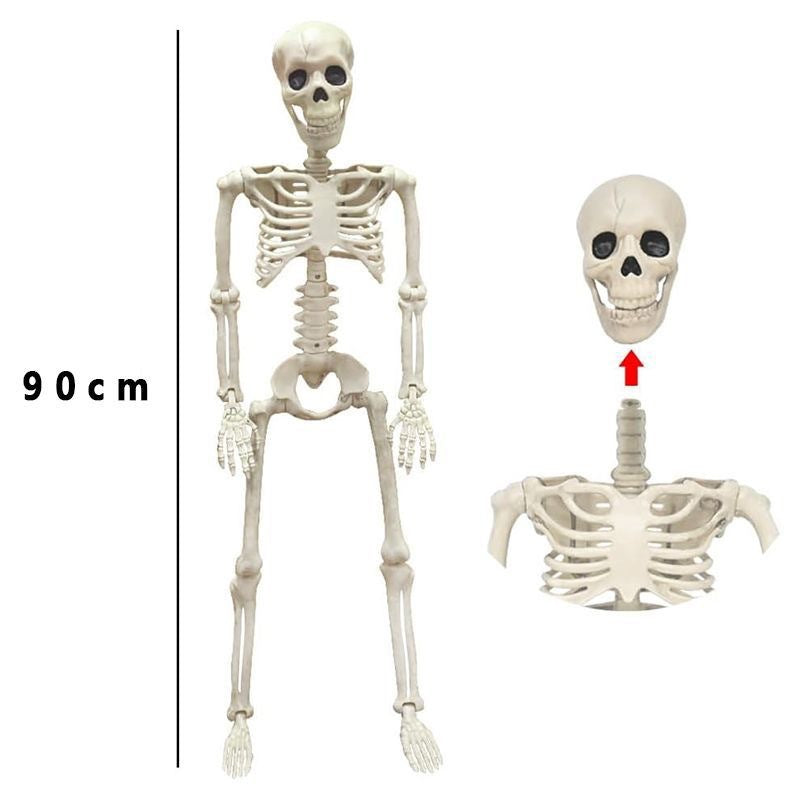 11748907